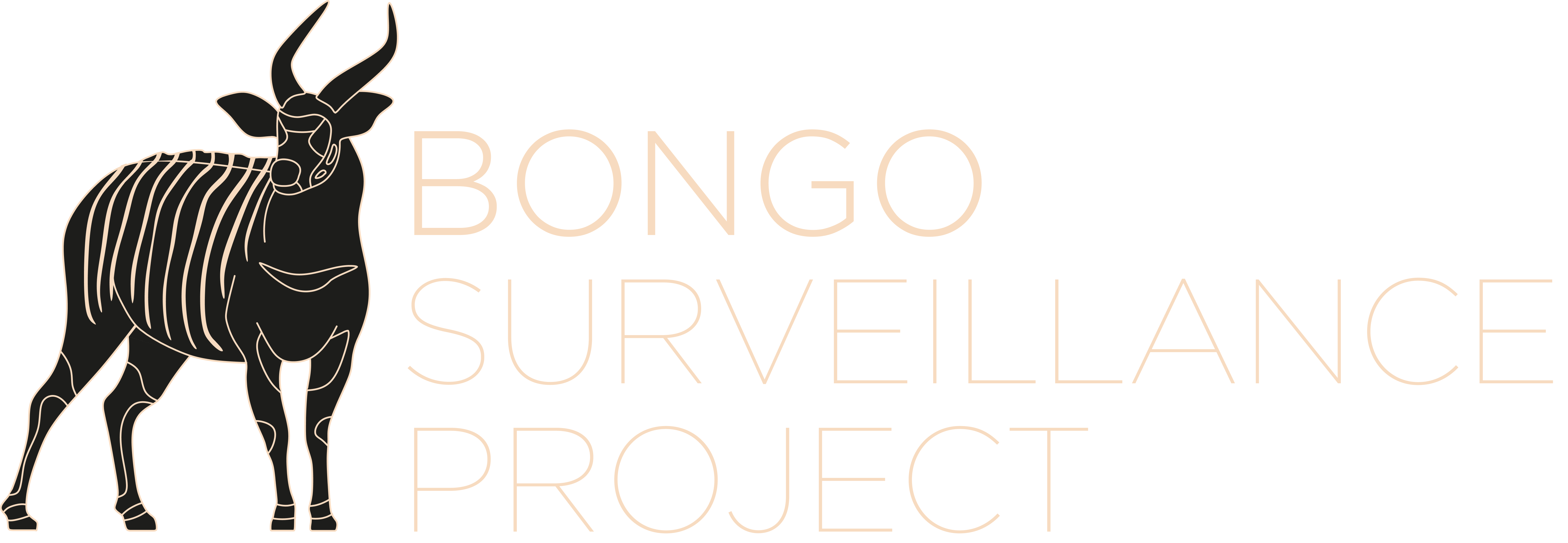 Bongo Surveillance Project