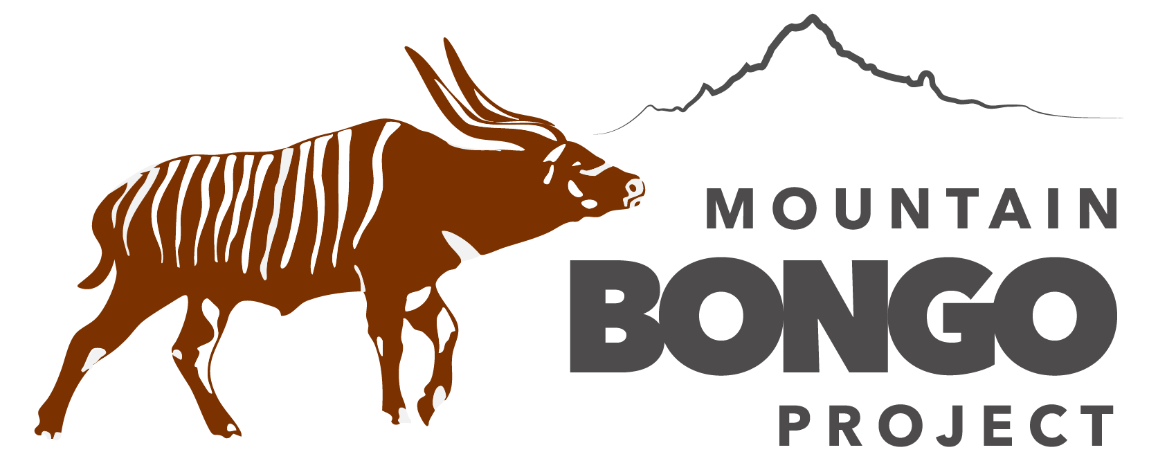 Mountain Bongo Project